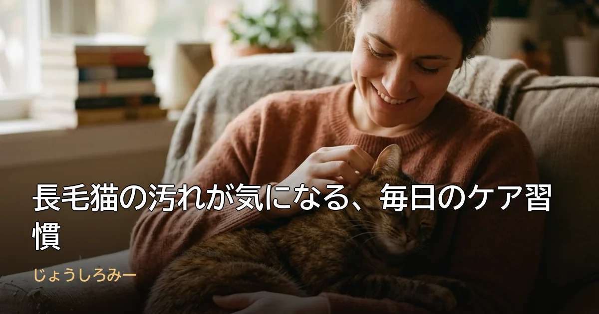 長毛猫の汚れが気になる、毎日のケア習慣